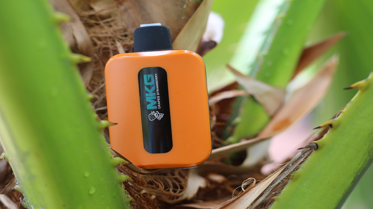 Innovation in Every Puff: MKG Vape's 550mAH Battery Technology